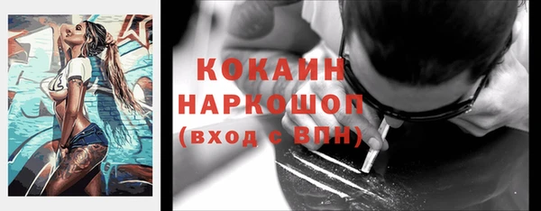 индика Балахна