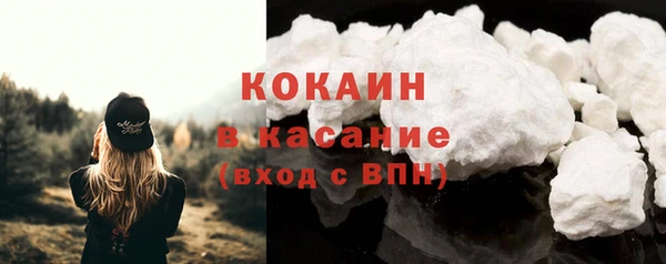 индика Балахна
