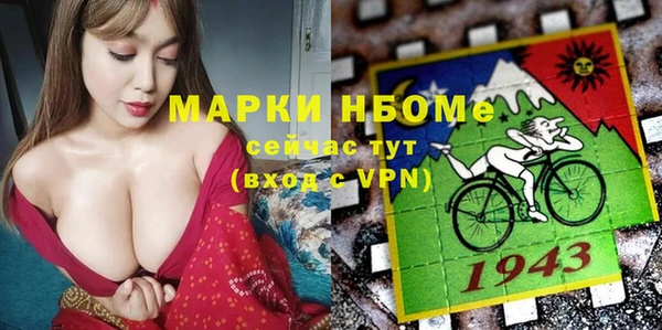 индика Балахна