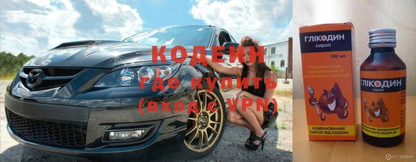 индика Балахна