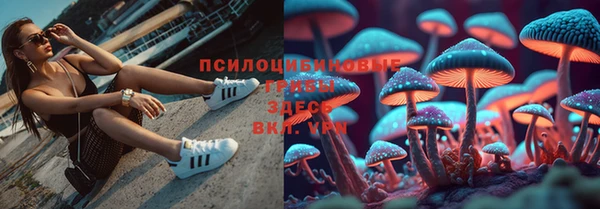скорость Баксан