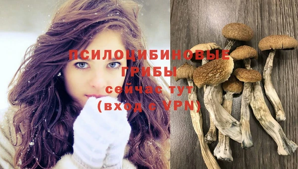 индика Балахна
